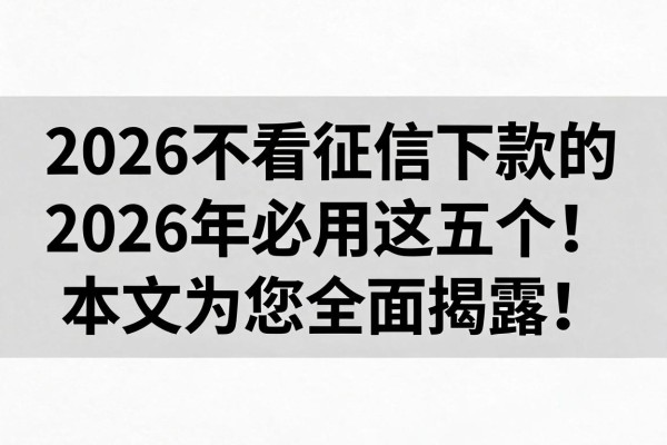 2026不看征信下款的2026年必用这五个!本文为您全面揭露!