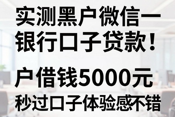 实测黑户微信银行口子贷款!这五个黑户借钱5000元秒过口子体验感不错