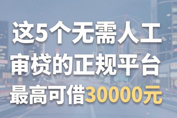 这5个无需人工审核的网贷正规平台，最高可借30000元