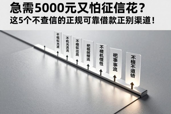 急需5000元又怕征信花？这5个不查征信的正规可靠借款渠道，千万别错过！