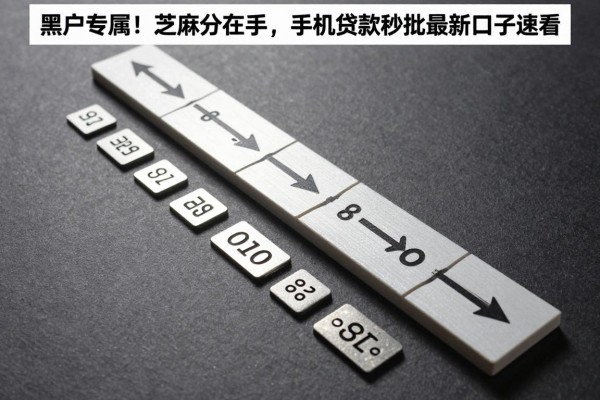 黑户专属!芝麻分在手,手机贷款秒批最新口子速看