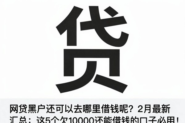 网贷黑户还可以去哪里借钱呢?2月最新汇总:这5个欠10000还能借钱的口子必用!