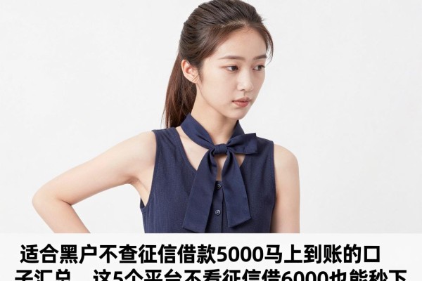 适合黑户不查征信借款5000马上到账的口子汇总,这5个平台不看征信借6000也能秒下