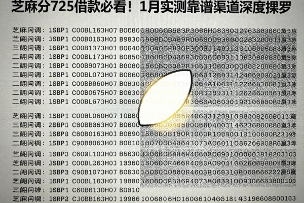 芝麻分725借款必看!1月实测靠谱渠道深度搜罗