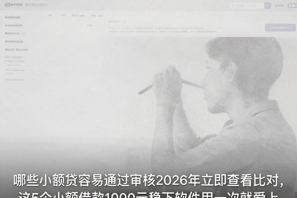 哪些小额贷容易通过审核2026年立即查看比对，这5个小额借款1000元稳下软件用一次就爱上