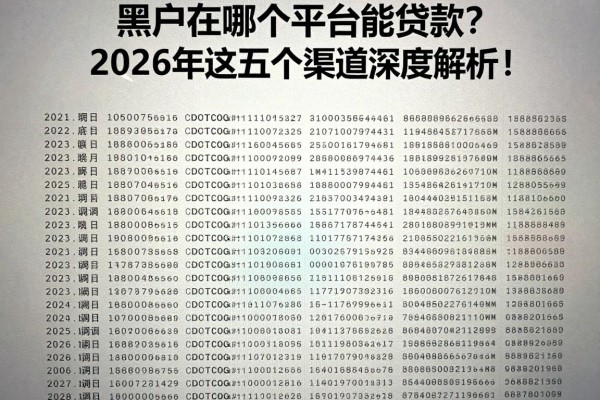 黑户在哪个平台能贷款?2026年这五个渠道深度解析!