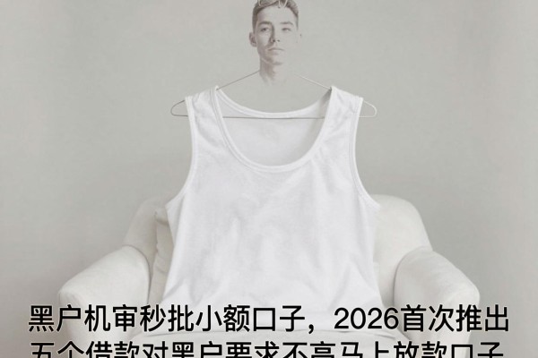 黑户机审秒批小额口子,2026首次推出五个借款对黑户要求不高马上放款口子