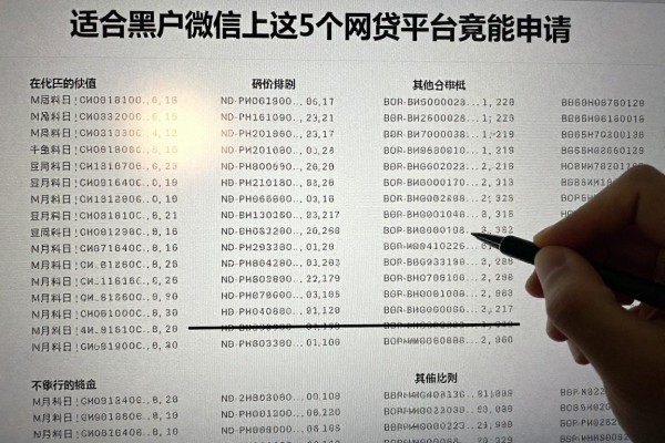 适合黑户微信上这5个网贷平台竟然能申请
