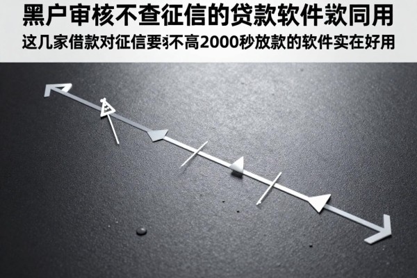黑户审核不查征信的贷款软件,这几家借款对征信要求不高20000秒放款的软件实在好用