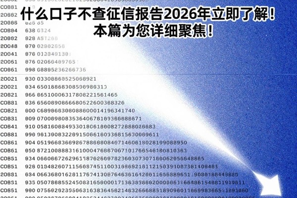 什么口子不查征信报告2026年立即了解!本篇为您详细聚焦!