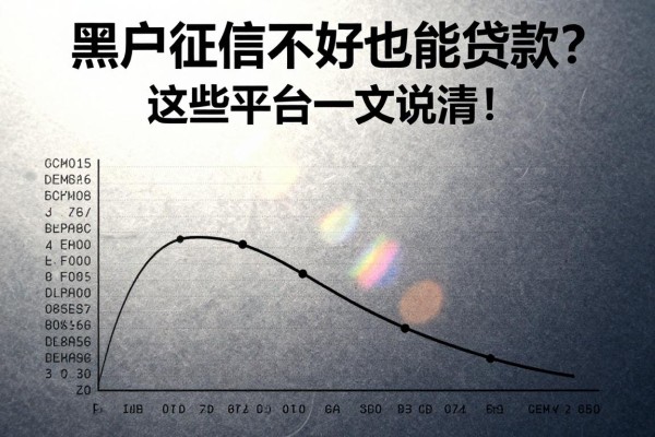 黑户征信不好也能贷款?这些平台一文说清,精华要点全汇总!