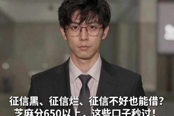 征信黑、征信烂、征信不好也能借?芝麻分650以上,这些口子秒过!