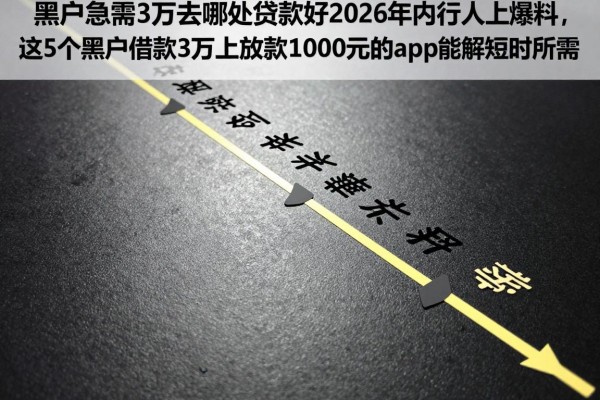 黑户急需3万去哪里贷款好2026年内行人爆料，这5个黑户借款3万马上放款1000元的app能解短时所需